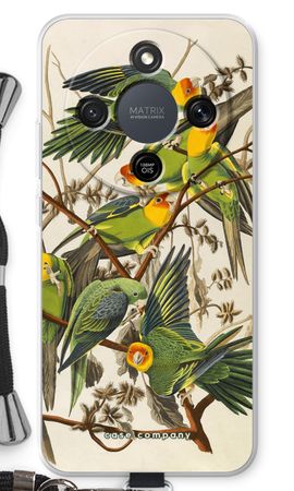 Carolina Parrot