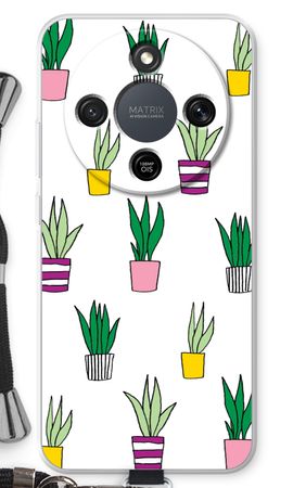 Sanseveria