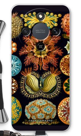 Haeckel Ascidiae