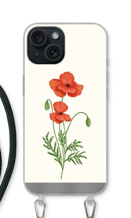 Red poppy