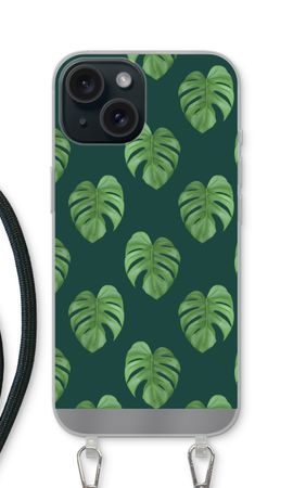 Monstera leaves