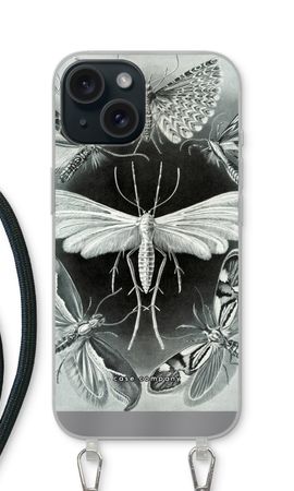 Haeckel Tineida