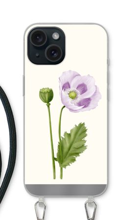 Purple poppy