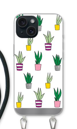 Sanseveria