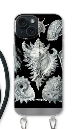 Haeckel Prosobranchia