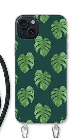 Monstera leaves