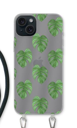 Monstera leaves