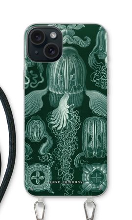 Haeckel Cubomedusae