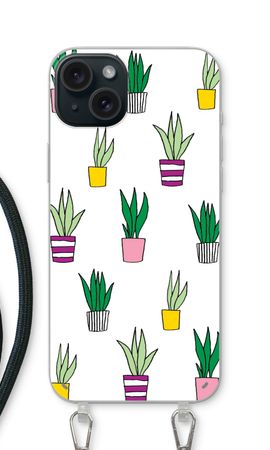 Sanseveria