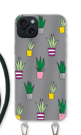 Sanseveria