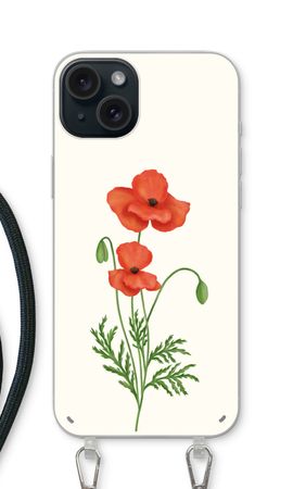 Red poppy