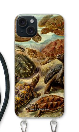 Haeckel Chelonia