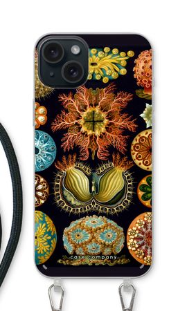 Haeckel Ascidiae