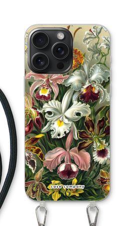 Haeckel Orchidae