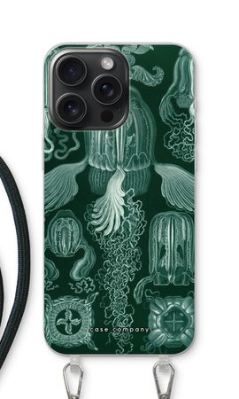 Haeckel Cubomedusae
