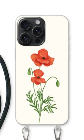 Red poppy