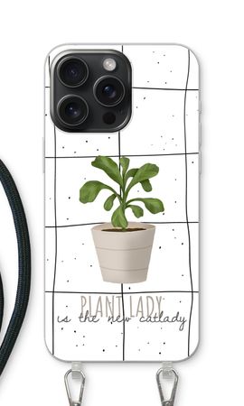 Houseplant on windowpane
