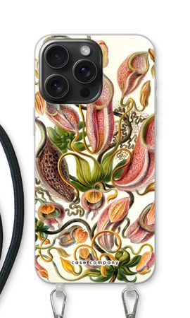 Haeckel Nepenthaceae