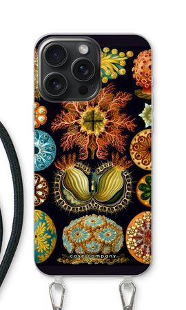 Haeckel Ascidiae