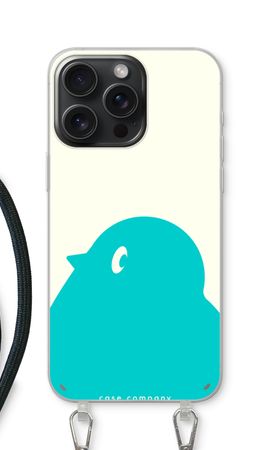 BIG Robin 1
