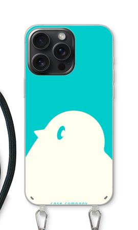 BIG Robin 2