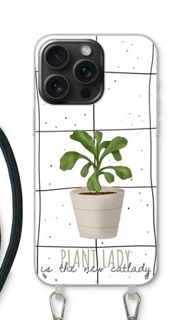Houseplant on windowpane