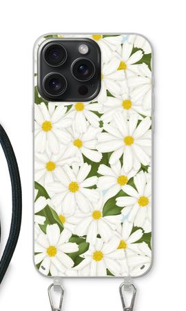 Summer Daisies
