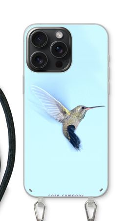 Hummingbird