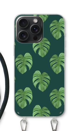 Monstera leaves