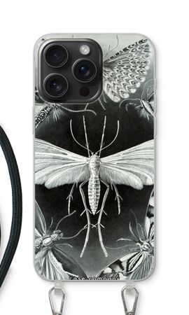 Haeckel Tineida