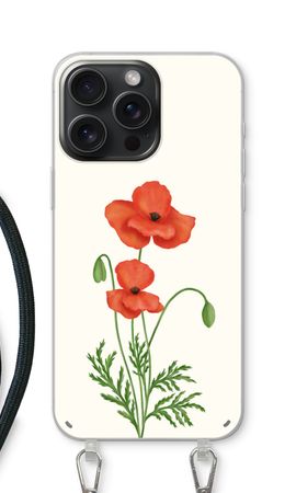 Red poppy