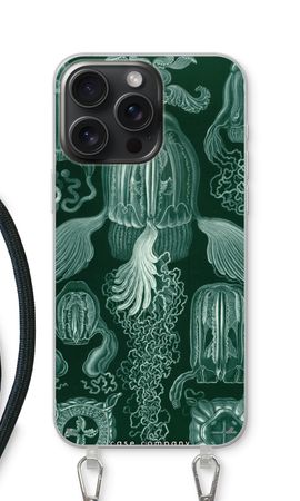 Haeckel Cubomedusae