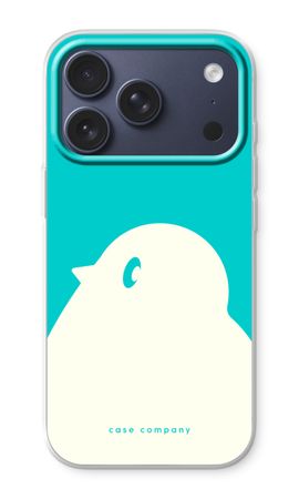 BIG Robin 2