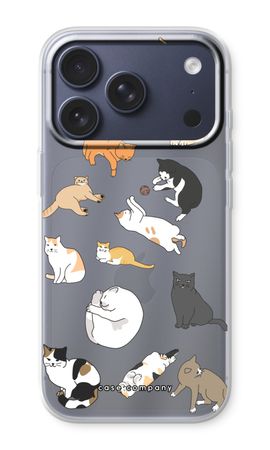 Cats