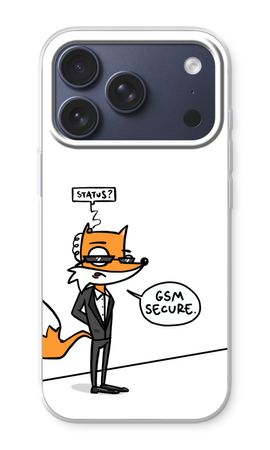 GSM secure