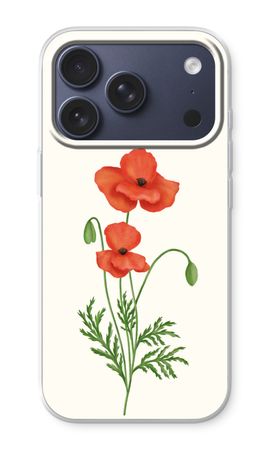 Red poppy