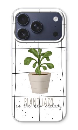Houseplant on windowpane
