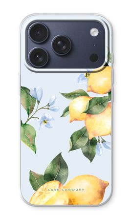 Orchard Sun