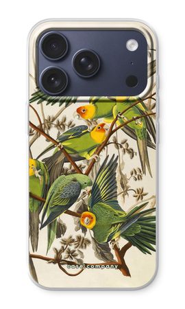 Carolina Parrot