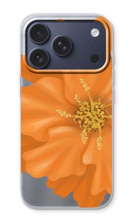 Orange Ellila flower