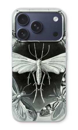 Haeckel Tineida