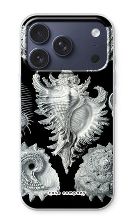 Haeckel Prosobranchia