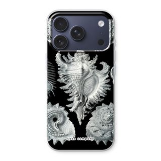 Haeckel Prosobranchia