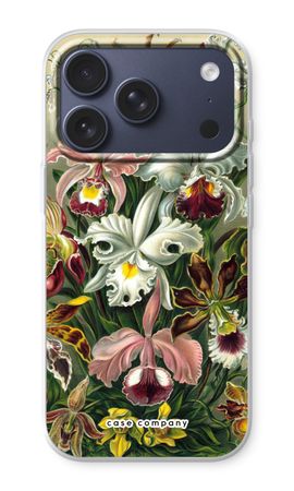 Haeckel Orchidae