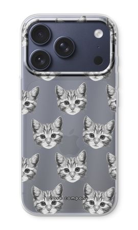 Kitten