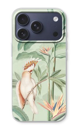 Tropical Parrot