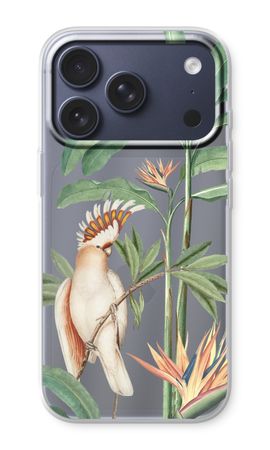 Tropical Parrot