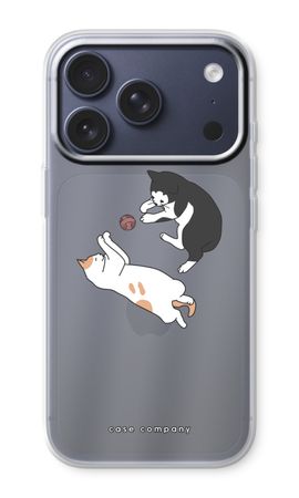 Playing cats
