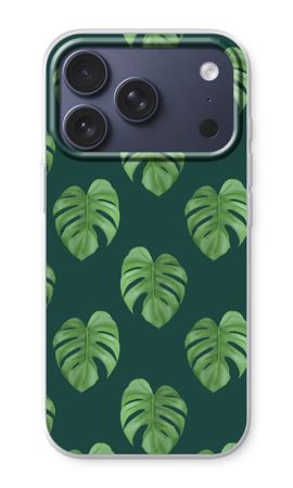 Monstera leaves