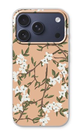 Blossoming spring